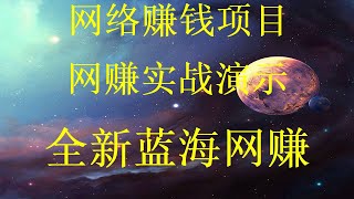 2024最新灰产|网赚项目|网络赚钱 日入1万赚钱项目实操。5分钟学会黑U搬砖入门教程！教你十分钟就可以赚到1000。2024年最新暴利网赚灰产全程演示，月赚6万+，USDT搬砖丨搬砖套利项目