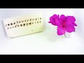 time lapse carnation flowers blooming