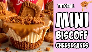 Mini Biscoff Cheesecakes Recipe tutorial #Shorts