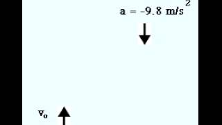 ball in free fall