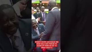 WUEEH! OGOPA GACHAGUA! SEE HOW RAILA WAS FORCED TO STAND UP FROM HIS SIT TO GREET RIGGY G