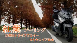 モトブログその１４　NMAX155で紅葉ツーリング