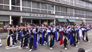 心纏い（犬山踊芸祭2015）下本町会場A