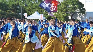 【公式】 鳳遙恋2022『天鳴』 横浜よさこい/赤レンガ会場