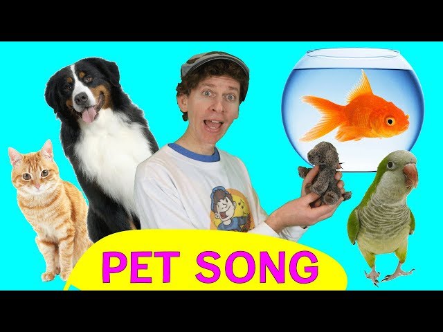 Pet Song For Kids Animal Songs Sing And Move Learn English Kids