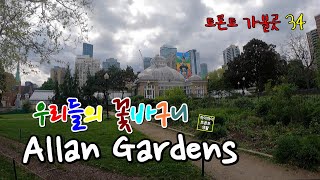 🌺일년내내 꽃을 즐길수 있는 곳 Allan Gardens (토론토 가볼곳 34)