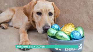 Clover Is Back | This Morning