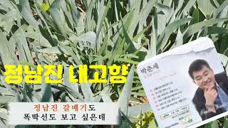 #정남진내고향(이세진) #박춘세 커버