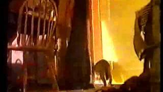 Whiskas cat food 1993 commercial TVC NZ/Aust