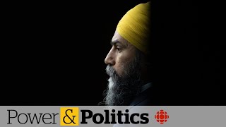 Jagmeet Singh, Liberal MP discuss the need for a public inquiry on election meddling