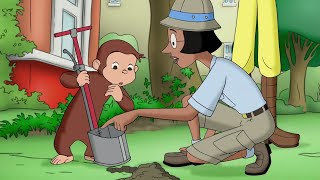 George's Green Fingers | Curious George | Cartoons for Kids | WildBrain Kids