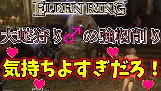 レベル1でも神肌の二人を超簡単にノーダメ撃破する方法紹介【エルデンリング】【神肌のふたり】【ELDENRING】