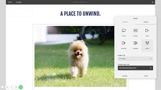 Squarespace Images Block Crash Course