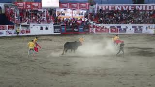 Funny Rodeo Bull run vs People in Bull Festival in Toros Zapote Costa Rica 2