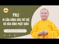 PALI – DI SẢN SỐNG CỦA TRÍ TUỆ VÀ HÒA BÌNH PHẬT GIÁO