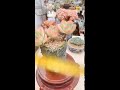 忘记名字 以后补上 多肉植物 succulents