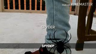 Spyder teaser 2