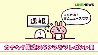 【LINE NEWS×カナヘイ】コラボスタンプ