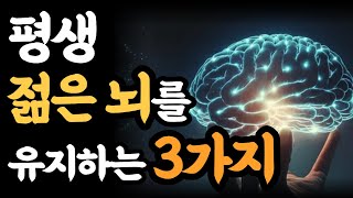 평생 젊은뇌를 유지하는 3가지 방법