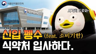 펭귄이 신입사원으로 입사하면 이렇게 됩니다 (feat. 펭수)