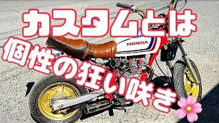 HONDA エイプ を磨きまくる 。カスタムはセンス‼️磨けばヒカル  魂が宿るバイク ホンダ APE  ヨンフォア仕様に4MINI モンキー　ゴリラよりも無我の境地 日々精進 酪農 大阪堺市酪農組合