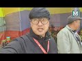 mirik festival cymbidium orchids mimang vlog