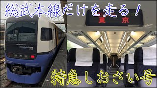 【単独路線のみ走る数少ない特急】総武本線特急しおさい号に乗ってきた