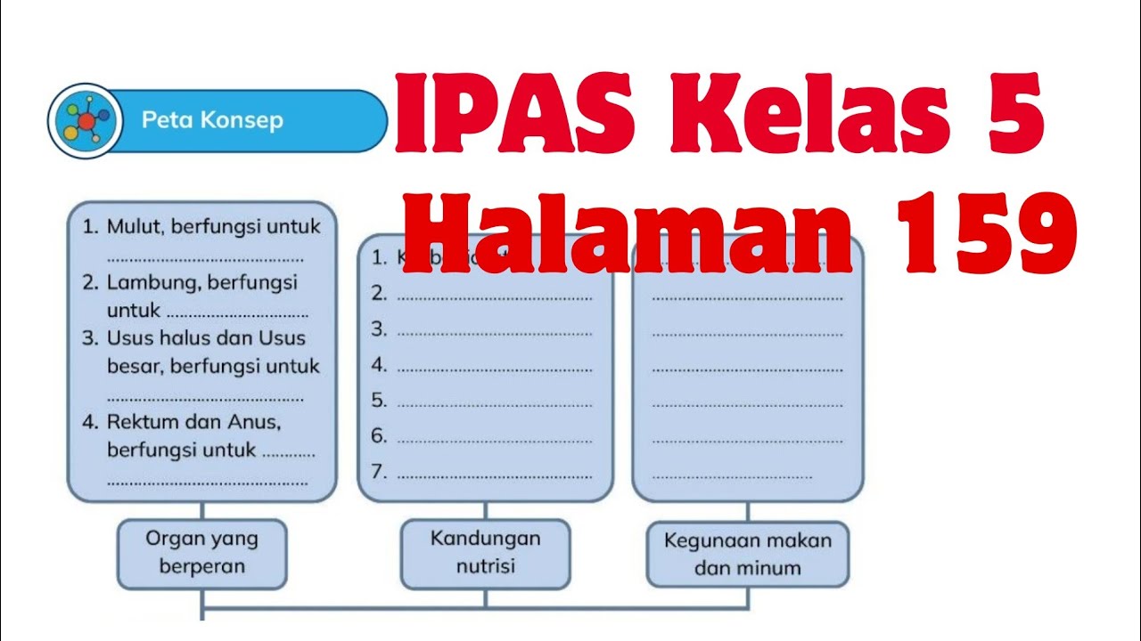 Kunci Jawaban IPAS Kelas 5 Halaman 159 - YouTube