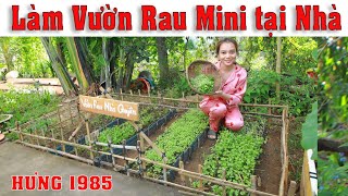 Làm Vườn Rau Mini tại Nhà / HƯNG 1985