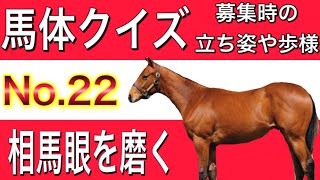 【一口馬主】パドックの見方にも活かせる！　馬体クイズ　No.22 ディープインパクト産駒　　horse race   racehorse Japan