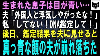 【スカッとする話】私も夫も日本人なのに息子の目が青色。夫「外国人と浮気したのか！」離婚だ！」後日、DNA鑑定の結果を夫に見せると真っ青な顔の夫は膝から崩れ落ちた→実は#朗読 #スカッとする話