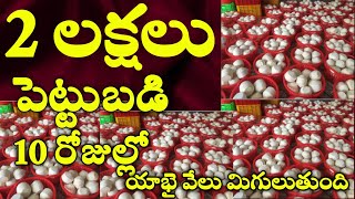 small business ideas 2023|business ideas in telugu 2023|telugu business ideas|business idea2023