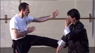 Wing Chun Sil Lim Tao Application Part 2 Step by Step Guide