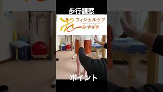 【歩行観察ポイント】骨盤の動き #理学療法士 #歩行分析 #shorts