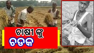 ଆହ୍ୱାନ ଟିଭି: EXCLUSIVE- ଚାଷୀଙ୍କ ଉପରେ ପଡ଼ିଲା ଚଡକ ।