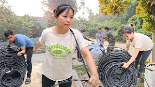 The girl began to pull the power line to the farm.