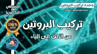 واخيرااا😌 بكالوريا2025🔥كل ما تحتاجه في تركيب البروتين من الالف الى الياء في فيديو واحد💫ع ت+رياضيات