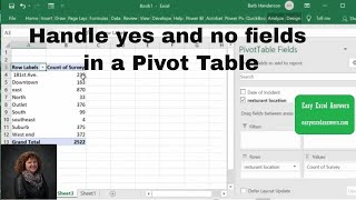How to handle yes and no fields in a pivot table in Excel