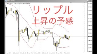 リップルXRPはここを越えると一旦上昇すると見ています。2023年6月17日13時