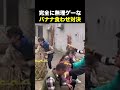 1ミリも惜しくない 海外の反応 海外のリアクション 外国人 おもしろ動画 爆笑動画 笑える バズった動画 癖が強い shorts ドッキリ