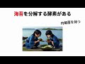 【睡眠・聞き流し】9割が知らない珍しい人間の雑学