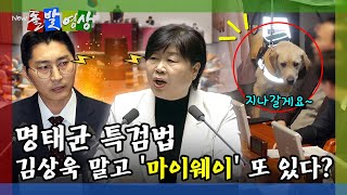 [돌발영상] 명태균 특검법에서 '김상욱' 말고 '마이웨이'를 보여준 또 다른 주인공은?/ YTN