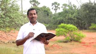 வனாந்திரமான உங்கள் வாழ்க்கை செழிப்பாகும் ! Walk with Jesus | Bro. Mohan C Lazarus | FEB 20