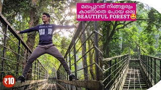 Beautiful Wild Forest In Malappuram 🤩 | Malayalam Vlog | wild Life | Kerala Forest | Kerala Tourism