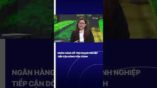 Ngân hàng hỗ trợ doanh nghiệp tiếp cận dòng vốn xanh | VTVMoney