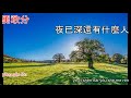 傷痕 林憶蓮 shang hen karaoke