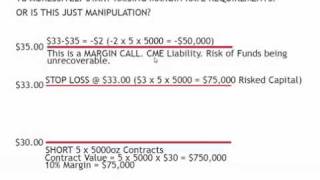 Why CME Raised Margin Requirements     Wouldnt You