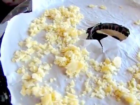 Potato Flakes Potato Flakes