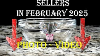 How is my February 2025 and #stockphotography sales? Find out in this video #sideincome #microstock