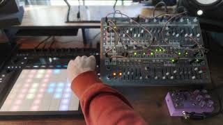 Shifting Sunrise | Intellijel Cascadia | Ableton Push 3